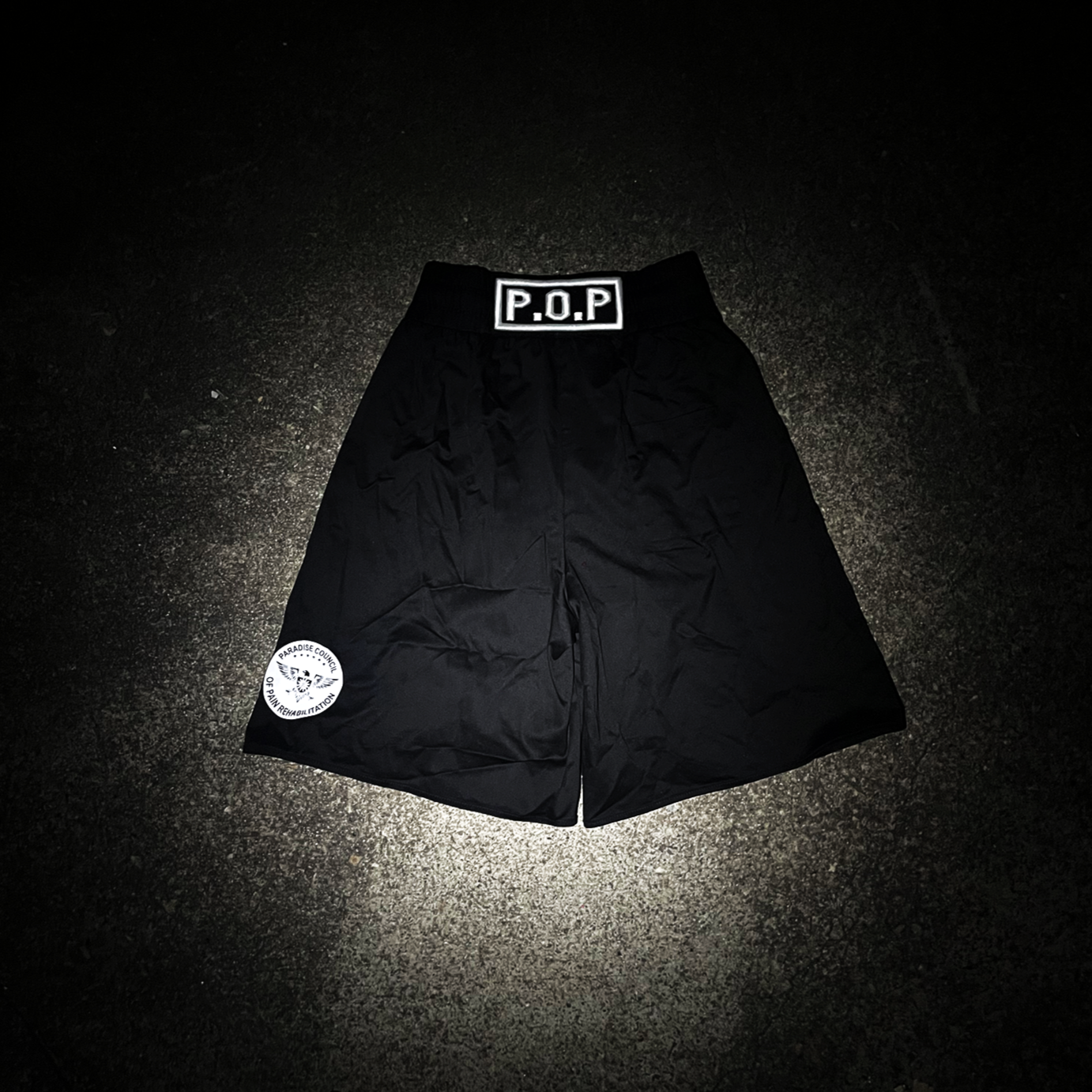 "HOLYWOOD" Hybrid Boxing Shorts